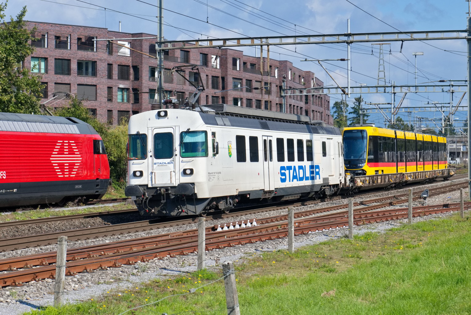 Slider_BLT_4225_D9A_3954